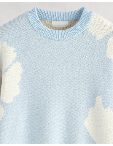 Pull en maille "marguerite" bleu ciel