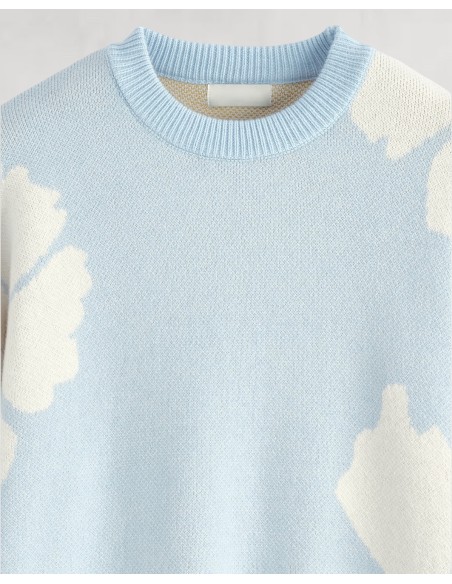 Pull en maille "marguerite" bleu ciel
