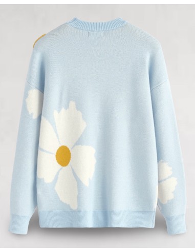 Pull en maille "marguerite" bleu ciel
