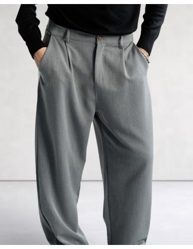 Pantalon classic coupe large uni gris...