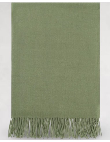 Echarpe verte à longues franges