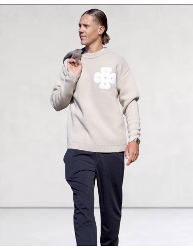 Pull en maille "LUCKY" beige